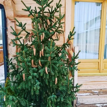 Domek Regionalny Bakowo Chatka Witów Esterno foto